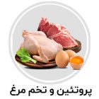 پروتئین و تخم مرغ