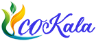 فروشگاه اینترنتی لیکو کالا
