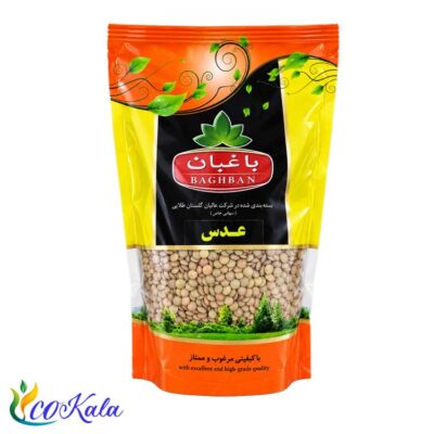 عدس 450گرمی باغبان